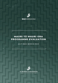 M2MO_Programme_Evaluation_Image