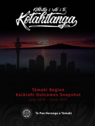 Tāmaki region Kaiārahi outcomes snapshot 16-17
